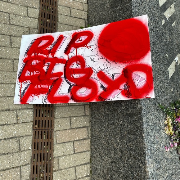 Meet your Posher, Estella - Picture 15 of 15